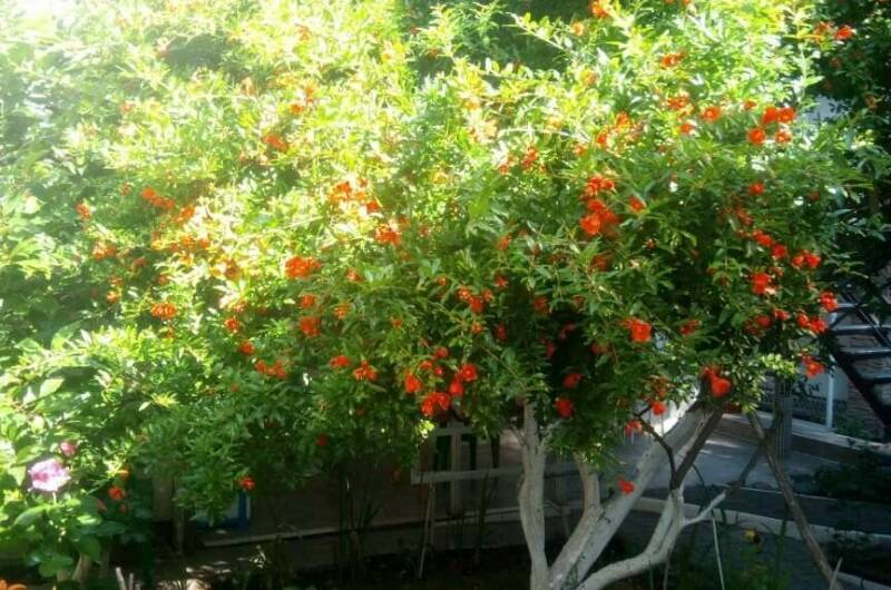 Изображение Изображение гостиницы &quot;Гостевой дом на Красногвардейской&quot; #6 #4