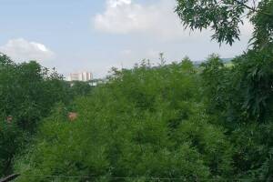 Изображение квартиры / апартамента "Апартаменты «Люкс»"