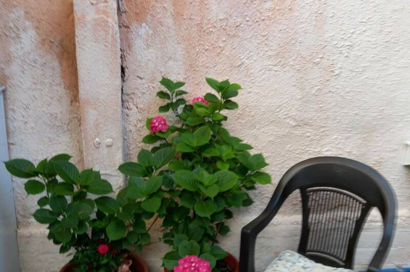 Изображение Изображение квартиры &quot;Студия со своим двориком&quot; #7 #5