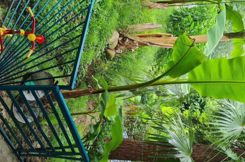 Изображение Изображение гостиницы &quot;Гостевой дом «У Зои»&quot; #3 #1