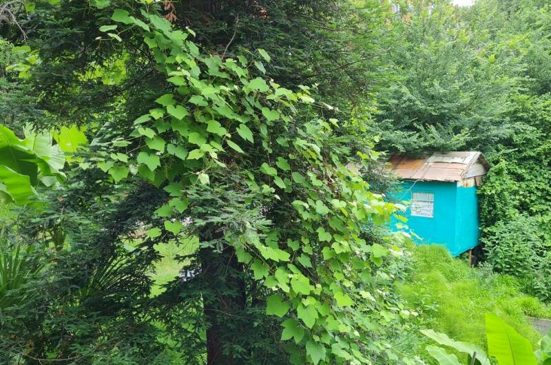 Изображение Изображение гостиницы &quot;Гостевой дом «У Зои»&quot; #5 #3