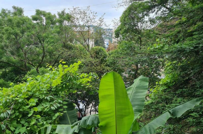 Изображение Изображение гостиницы &quot;Гостевой дом «У Зои»&quot; #8 #6