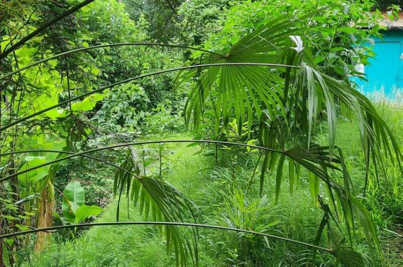 Изображение Изображение гостиницы &quot;Гостевой дом «У Зои»&quot; #9 #7