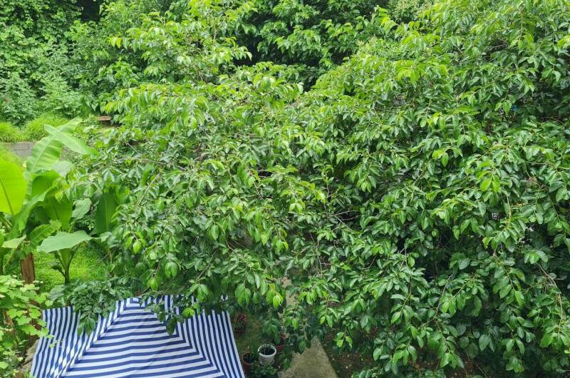 Изображение Изображение гостиницы &quot;Гостевой дом «У Зои»&quot; #10 #8