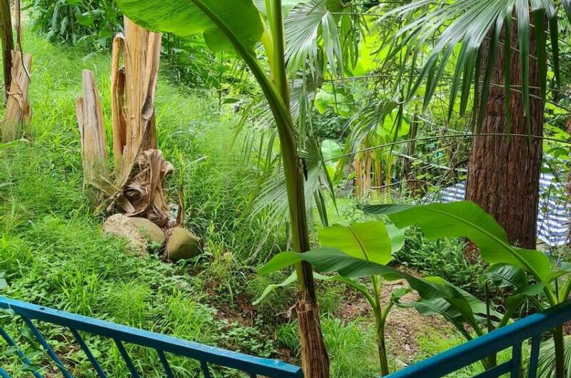 Изображение Изображение гостиницы &quot;Гостевой дом «У Зои»&quot; #11 #9