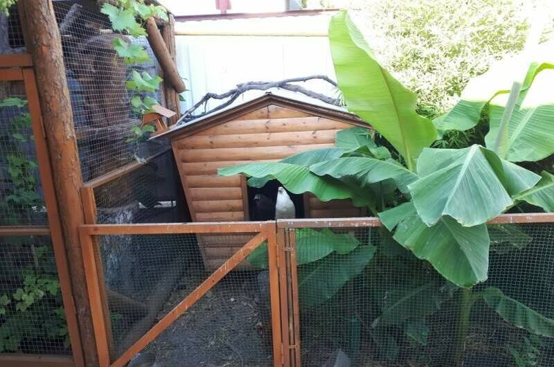 Изображение Изображение квартиры &quot;Дом под ключ на Шевченко&quot; #10 #8