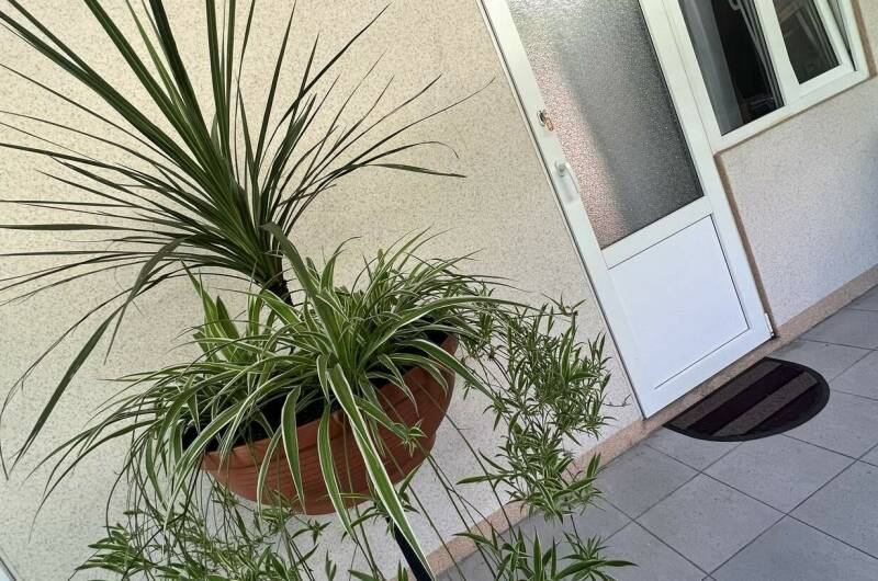 Изображение Изображение гостиницы &quot;Гостевой дом «ЛариЛанка»&quot; #5 #3