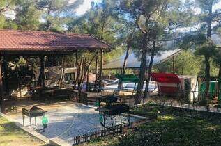 Изображение Изображение квартиры &quot;Этаж под ключ «В сосновом бору»&quot; #10 #8