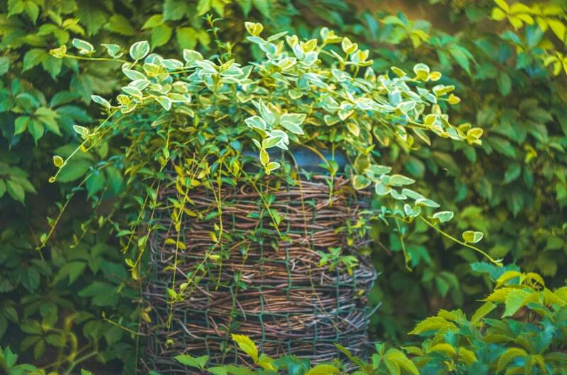 Изображение Изображение гостиницы &quot;Гостевой дом «ДимИль»&quot; #3 #1