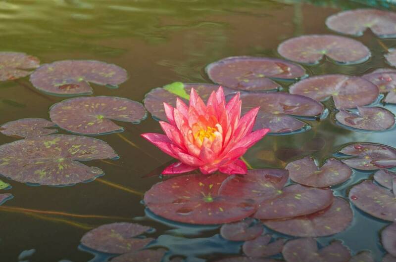 Изображение Изображение гостиницы &quot;Гостевой дом «ДимИль»&quot; #5 #3