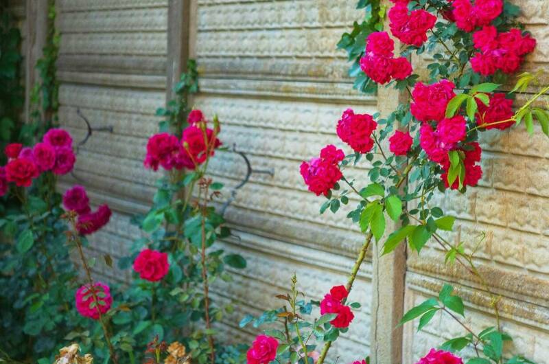 Изображение Изображение гостиницы &quot;Гостевой дом «ДимИль»&quot; #6 #4