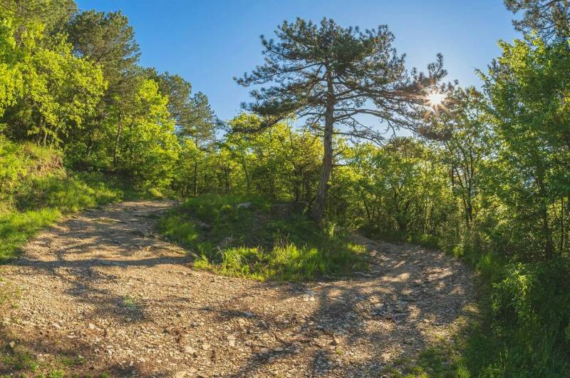 Изображение Изображение гостиницы &quot;Гостевой дом «ДимИль»&quot; #10 #8