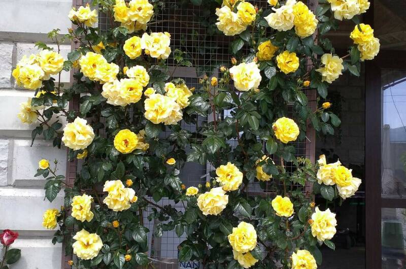 Изображение Изображение гостиницы &quot;Гостевой дом «Отдых»&quot; #3 #1