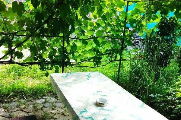 Изображение Изображение гостиницы &quot;Гостевой дом «Дворик для друзей»&quot; #9 #7