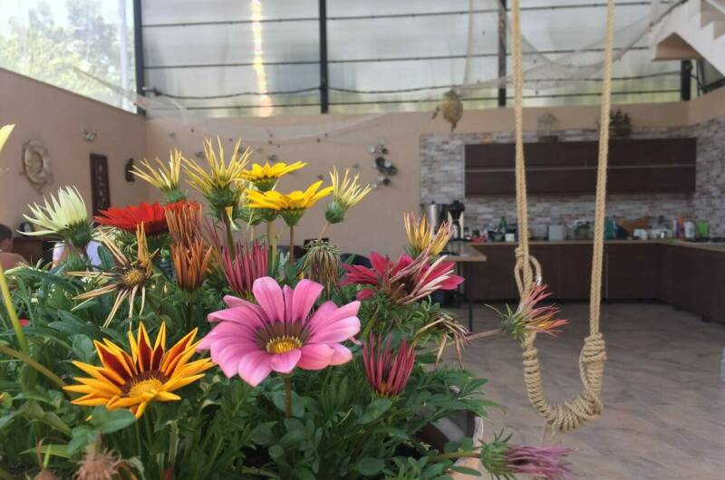 Изображение Изображение гостиницы &quot;Мини-гостиница «Кукушкино гнездо»&quot; #8 #6