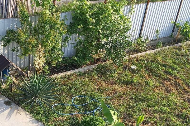 Изображение Изображение гостиницы &quot;Гостевой дом «Кут-кут»&quot; #6 #4