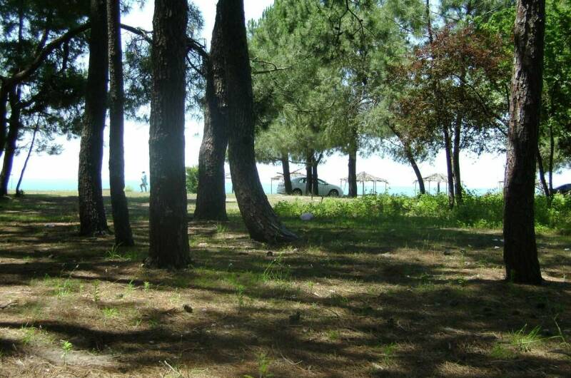 Изображение Изображение квартиры &quot;3-х комнатная квартира в Цитрусовом&quot; #3 #1