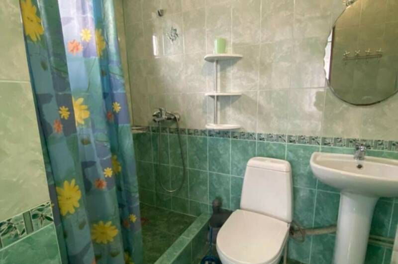 Изображение Изображение гостиницы &quot;Гостевой дом «Бриз 2»&quot; #10 #8