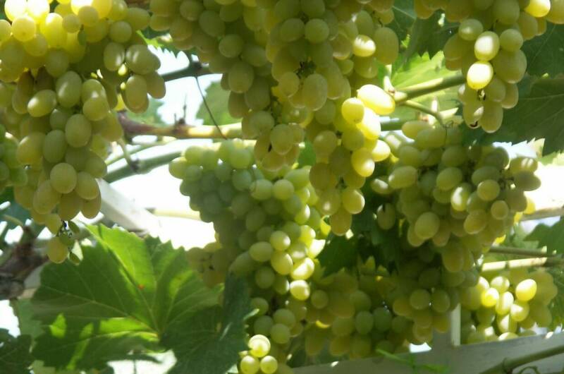 Изображение Изображение квартиры &quot;Дом для семейного отдыха&quot; #3 #1