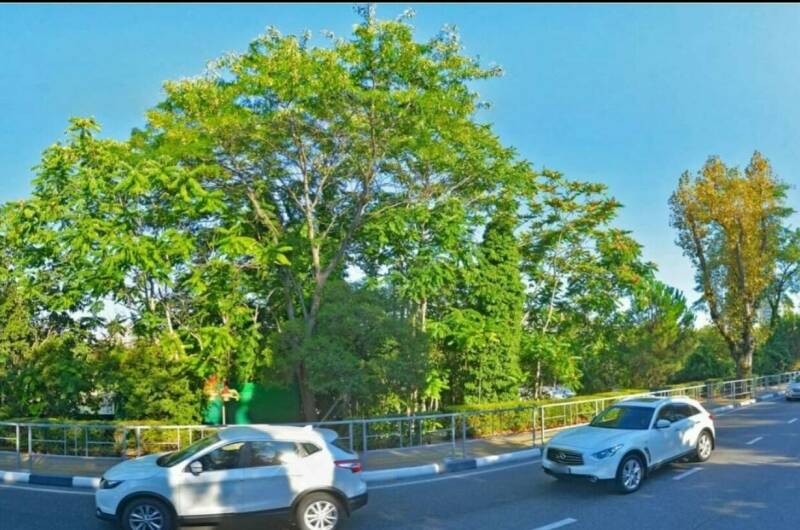 Изображение Изображение гостиницы &quot;Гостевой дом «Ривьера»&quot; #4 #2