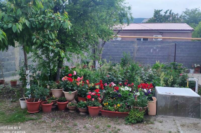 Изображение Изображение гостиницы &quot;Номера на Революционной 33&quot; #3 #1