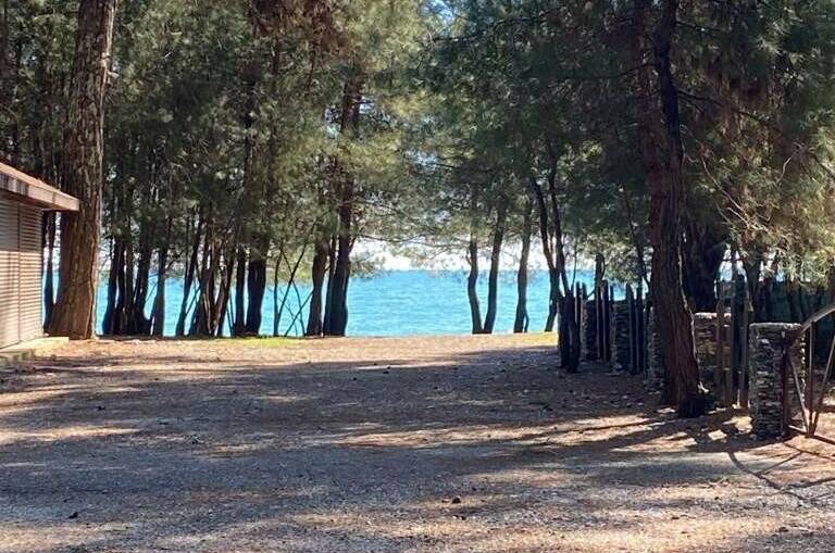 Изображение Изображение квартиры &quot;Апартаменты в Пицунде&quot; #5 #3