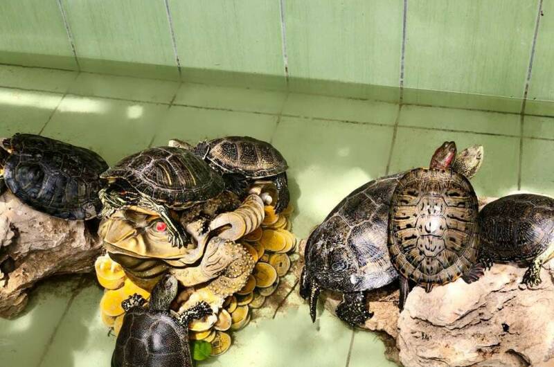 Изображение Изображение гостиницы &quot;Гостевой дом «Уют»&quot; #3 #1