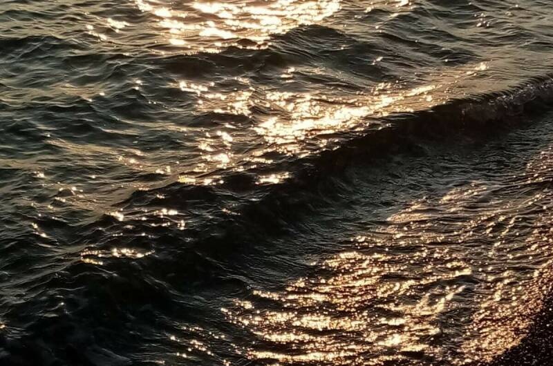 Изображение Изображение гостиницы &quot;Гостевой дом «Мимоза»&quot; #3 #1