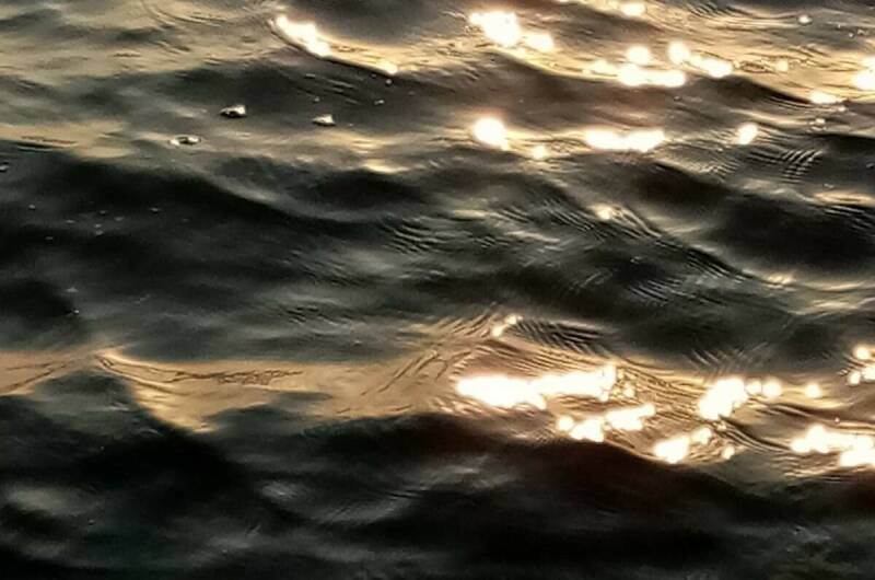 Изображение Изображение гостиницы &quot;Гостевой дом «Мимоза»&quot; #4 #2