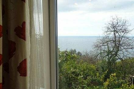 Изображение Изображение гостиницы &quot;Гостевой дом «Мимоза»&quot; #6 #4