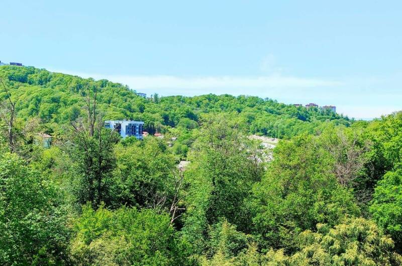 Изображение Изображение квартиры &quot;Квартира в ЖК «Аура»&quot; #3 #1