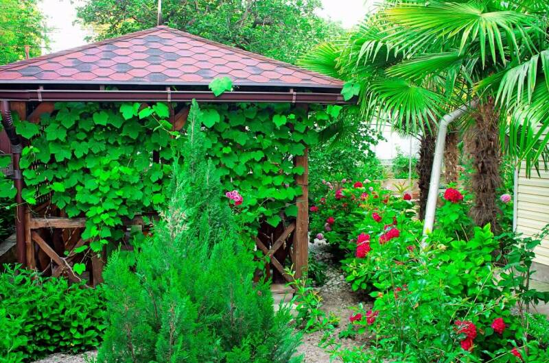 Изображение Изображение гостиницы &quot;Гостевой дом «Sofia»&quot; #6 #4