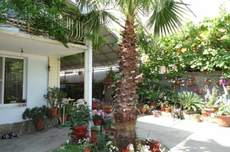 Изображение гостиницы "Частный сектор «Милана»" #1