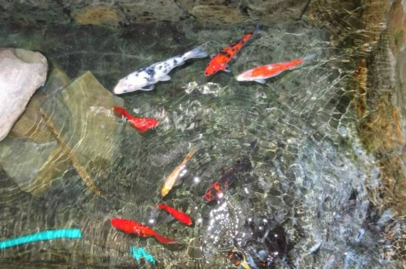 Изображение Изображение гостиницы &quot;Частный сектор «Милана»&quot; #3 #1