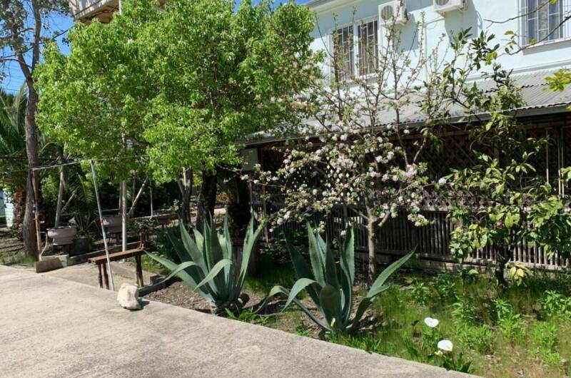 Изображение гостиницы "Гостевой дом «Роберт»" #1