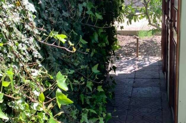 Изображение Изображение гостиницы &quot;Гостевой дом «Роберт»&quot; #5 #3