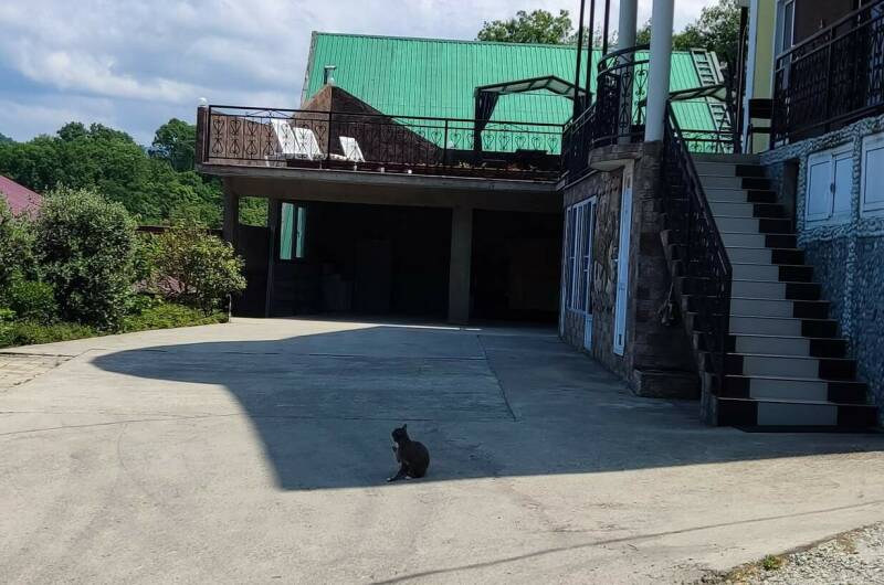 Изображение Изображение гостиницы &quot;Гостевой дом «Эверест в Горном воздухе»&quot; #4 #2