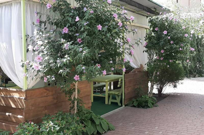 Изображение Изображение гостиницы &quot;Гостевой дом на Гарнаева&quot; #6 #4