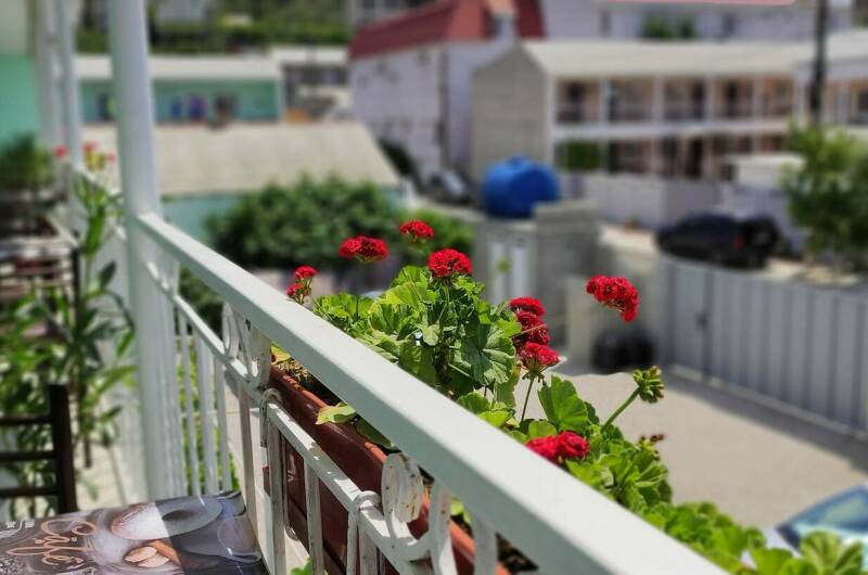 Изображение гостиницы "Гостевой дом «Оазис Судак»" #1