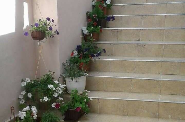 Изображение Изображение гостиницы &quot;Гостевой дом «Сильва»&quot; #3 #1