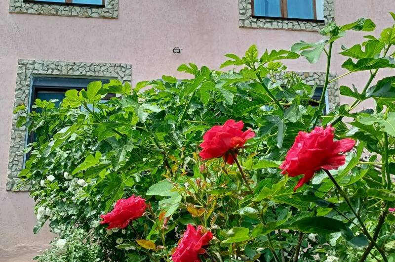 Изображение Изображение квартиры &quot;Дом под ключ на Стамова&quot; #4 #2