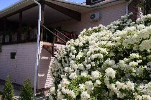 Изображение Изображение гостиницы &quot;Гостевой дом «Ольга»&quot; #7 #5