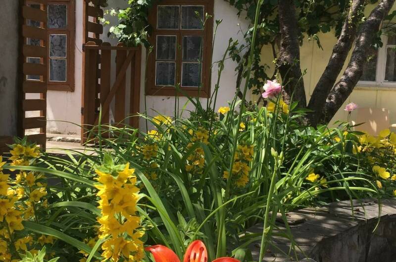 Изображение Изображение гостиницы &quot;Частный сектор «Как на даче»&quot; #4 #2