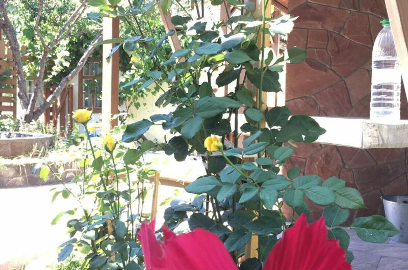 Изображение Изображение гостиницы &quot;Частный сектор «Как на даче»&quot; #8 #6