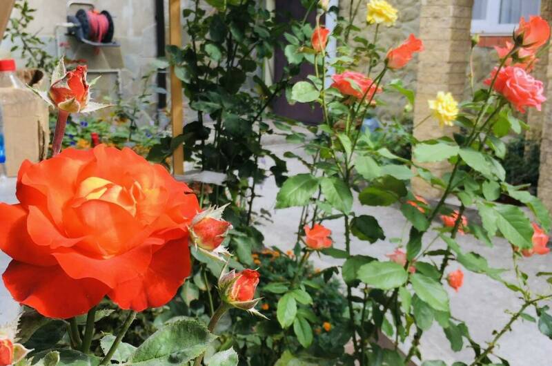 Изображение Изображение гостиницы &quot;Частный сектор «Как на даче»&quot; #9 #7