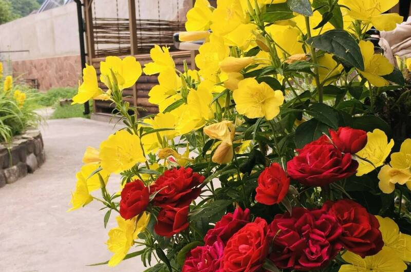 Изображение Изображение гостиницы &quot;Частный сектор «Как на даче»&quot; #10 #8