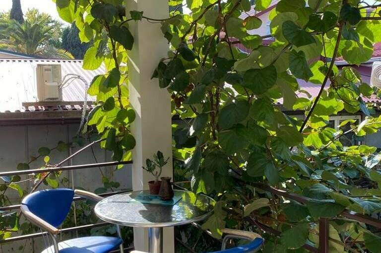 Изображение Изображение гостиницы &quot;Гостевой дом «У Лёвы»&quot; #4 #2