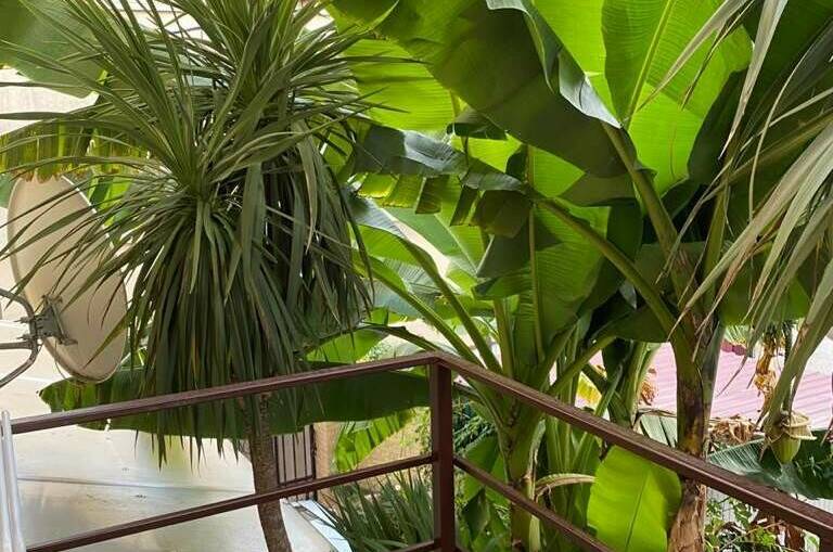 Изображение Изображение гостиницы &quot;Гостевой дом «У Лёвы»&quot; #11 #9