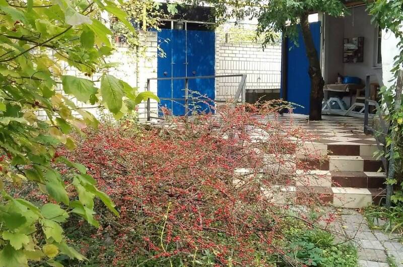 Изображение Изображение гостиницы &quot;Гостевой дом «Тихая гавань»&quot; #3 #1