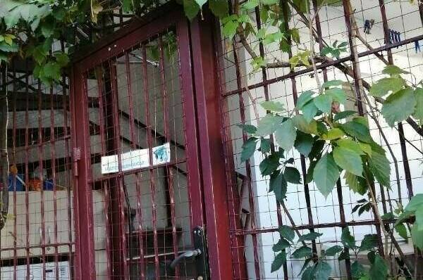 Изображение Изображение гостиницы &quot;Гостевой дом «Hot-Alushta»&quot; #4 #2